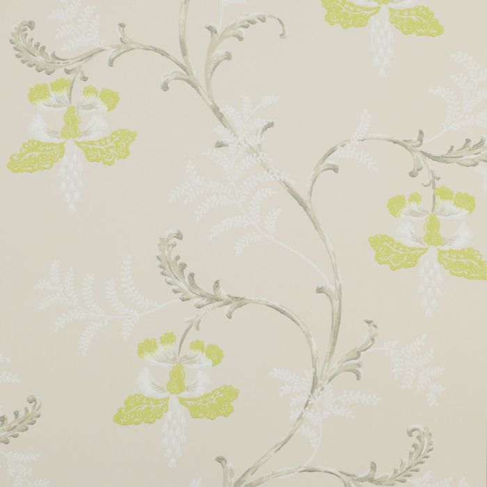 Colefax and Fowler - Messina - Bellflower 7127/02 Lime