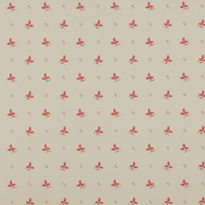 Colefax and Fowler - Ashbury - Ashling 7406/04 Pink