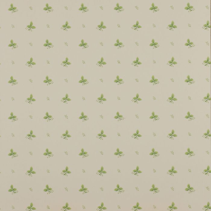 Colefax and Fowler - Ashbury - Ashling 7406/06 Green
