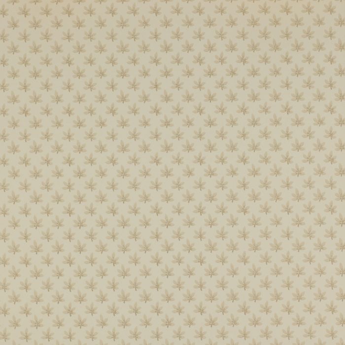 Colefax and Fowler - Ashbury - Maple 7984/01 Beige