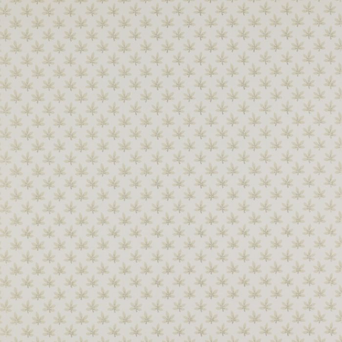 Colefax and Fowler - Ashbury - Maple 7984/04 Stone