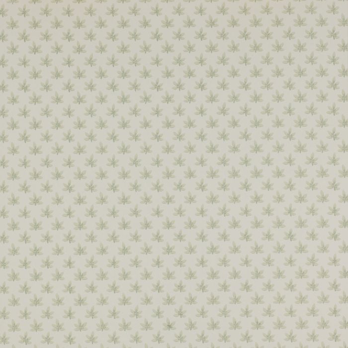 Colefax and Fowler - Ashbury - Maple 7984/06 Sage