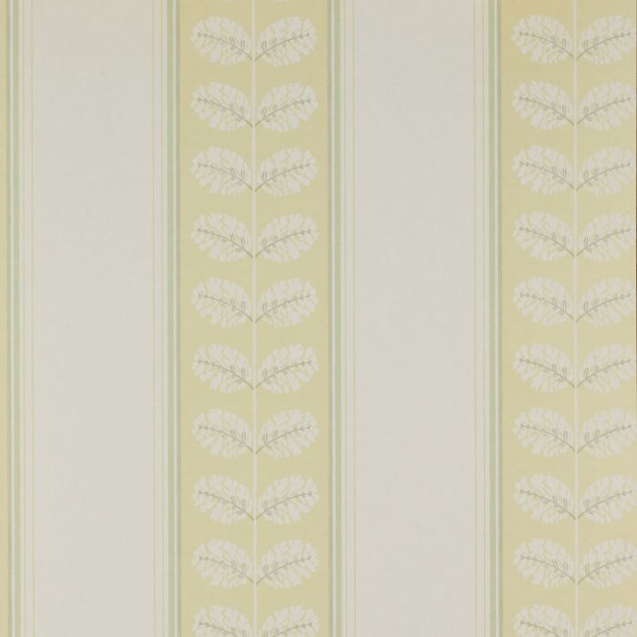 Colefax and Fowler - Ashbury - Woodcote Stripe 7992/03 Yellow/Green