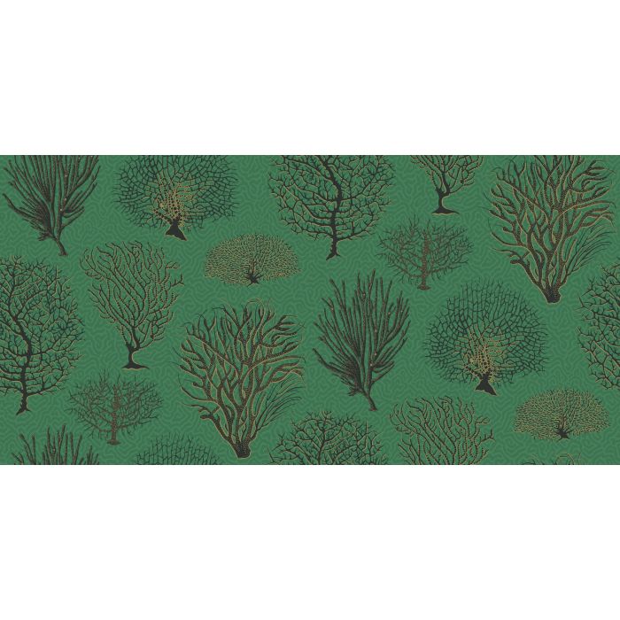 Cole & Son - Curio - Seafern 107/2007