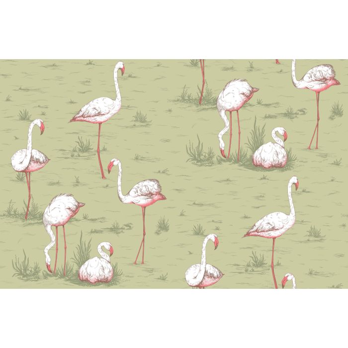 Cole & Son - Icons - Flamingos 112/11038