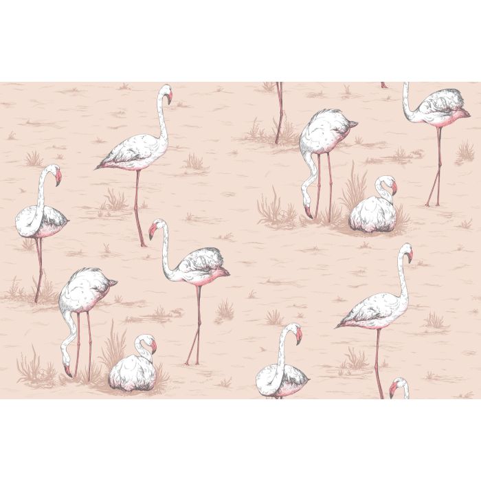 Cole & Son - Icons - Flamingos 112/11039