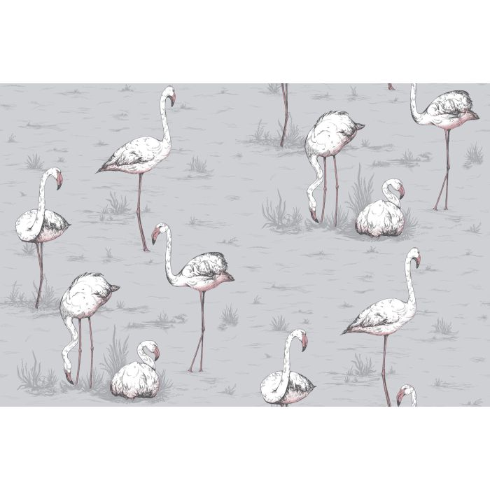 Cole & Son - Icons - Flamingos 112/11040