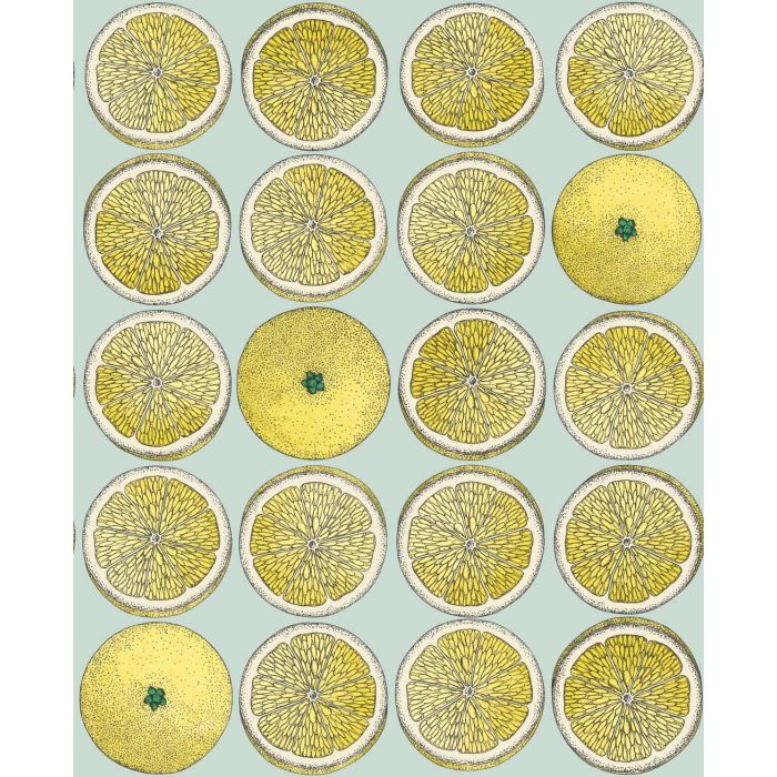 Cole & Son - Fornasetti Senza Tempo - Arance 114/24048