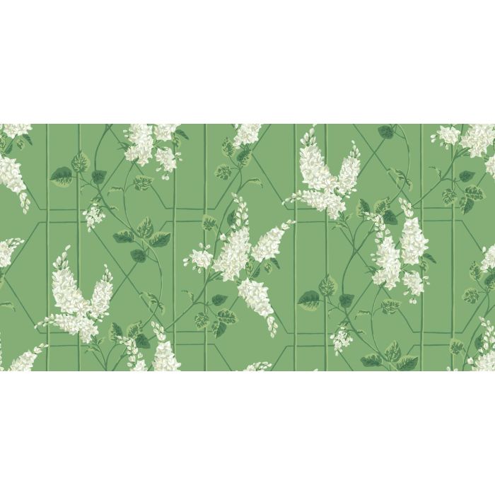 Cole & Son - Botanical Botanica - Wisteria 115/5016