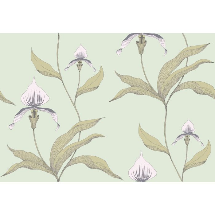 Cole & Son - New Contemporary I - Orchid 66/4028