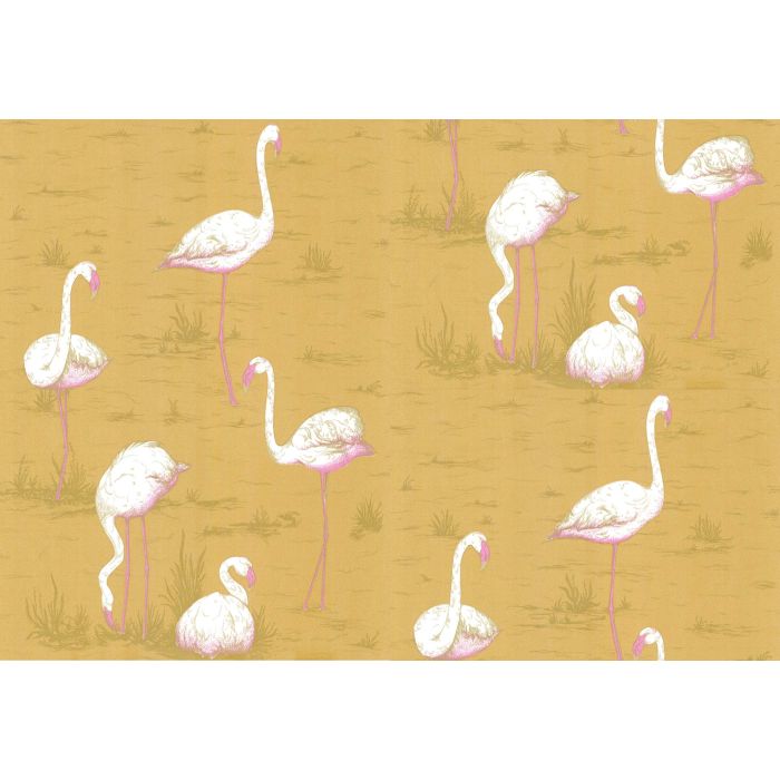 Cole & Son - New Contemporary I - Flamingos 66/6045