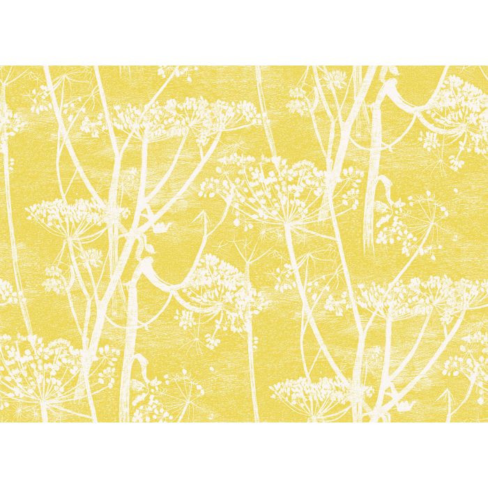 Cole & Son - New Contemporary I - Cow Parsley 66/7051