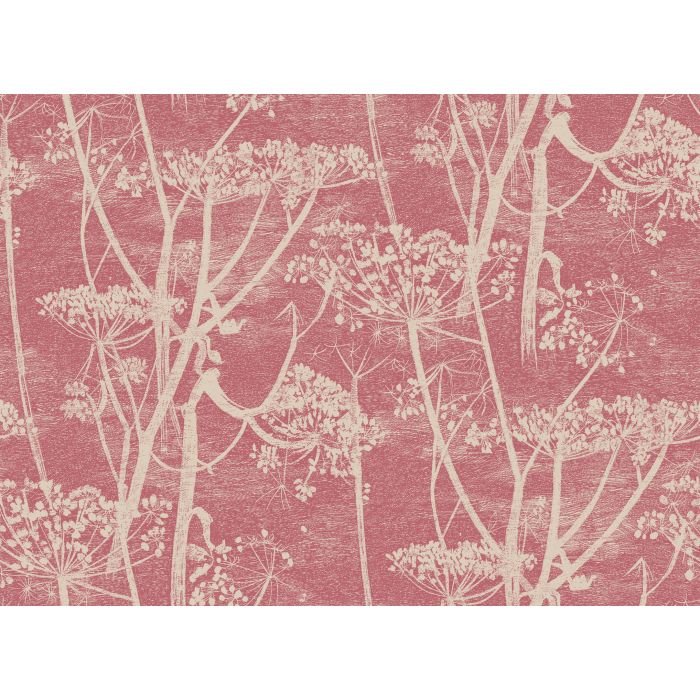 Cole & Son - New Contemporary I - Cow Parsley 66/7052