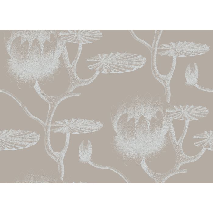 Cole & Son - New Contemporary II - Lily 69/3110