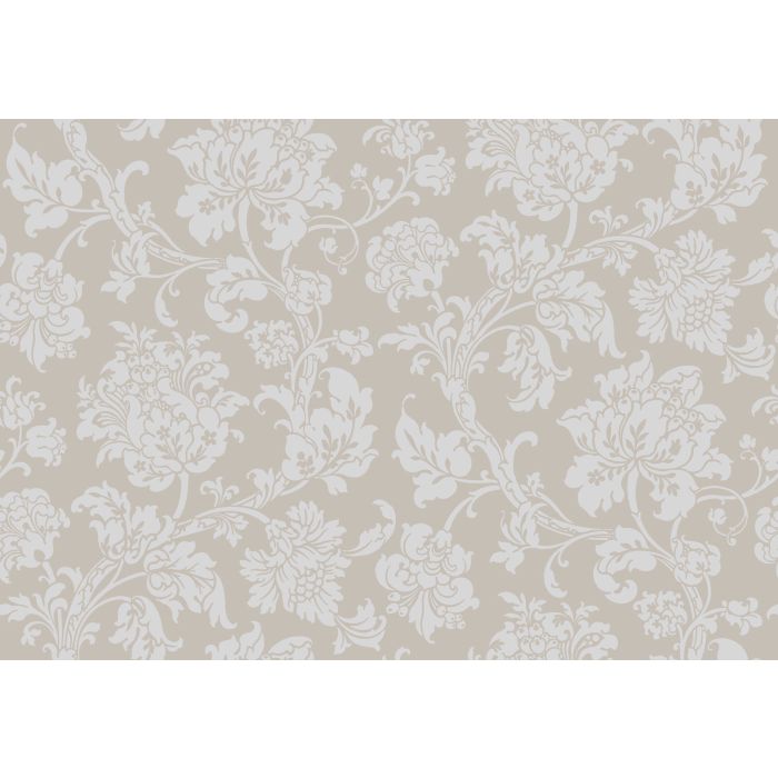 Cole & Son - Collection of Flowers - Eastern Rose 81/10042