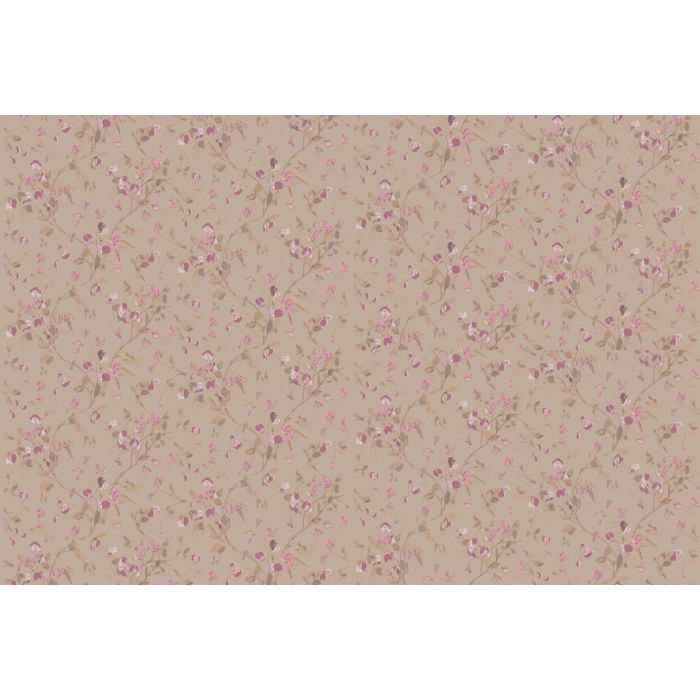 Cole & Son - Collection of Flowers - Sweet Pea 81/11045