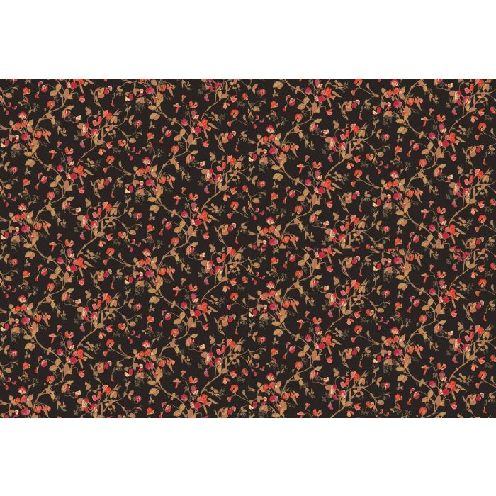 Cole & Son - Collection of Flowers - Sweet Pea 81/11046