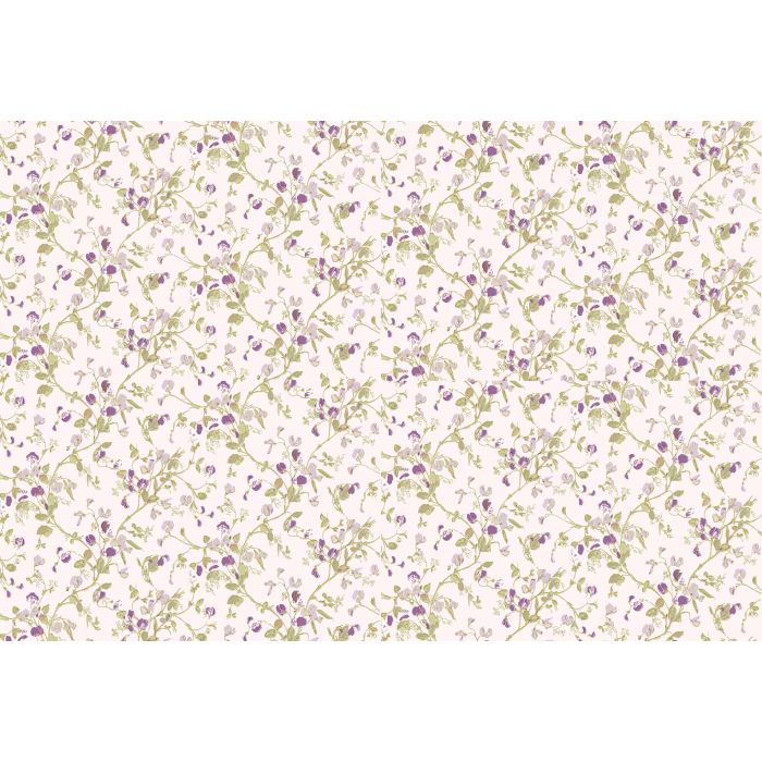 Cole & Son - Collection of Flowers - Sweet Pea 81/11047