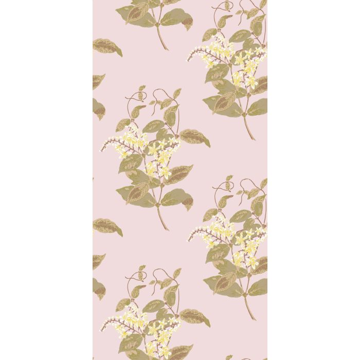 Cole & Son - Collection of Flowers - Madras Violet 81/6025