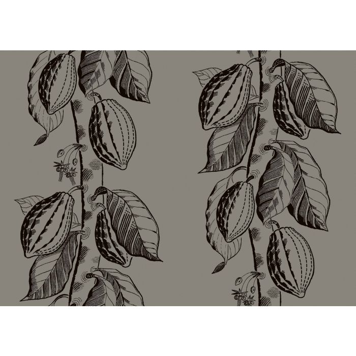 Cole & Son - Frontier - Cocoa 89/11046