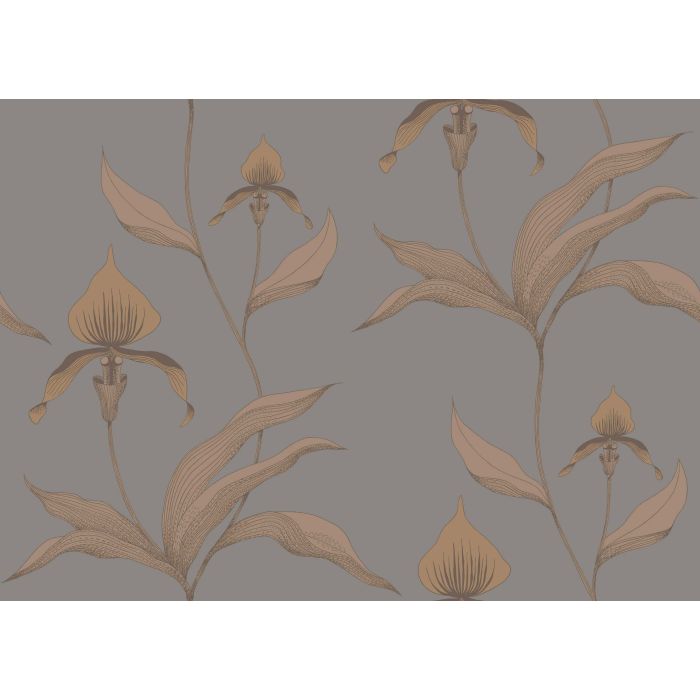 Cole & Son - Contemporary Restyled - Orchid 95/10056