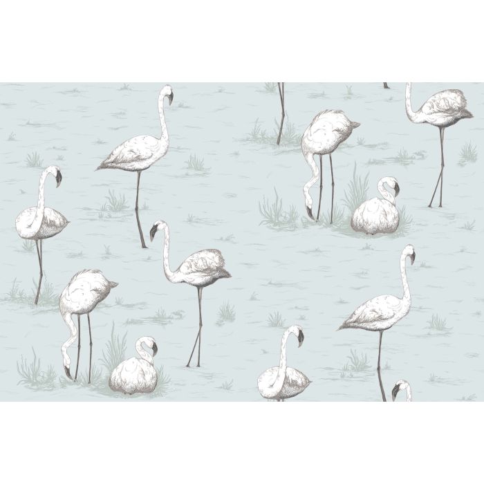 Cole & Son - Contemporary Restyled - Flamingos 95/8047