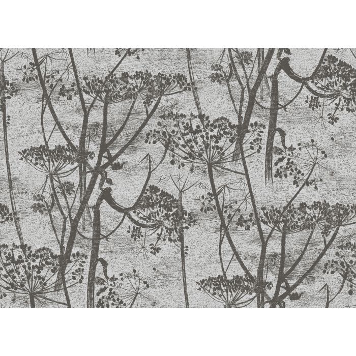 Cole & Son - Contemporary Restyled - Cow Parsley 95/9050