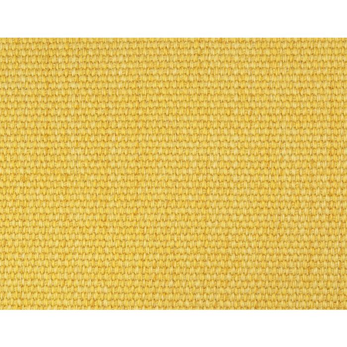 Boussac - Bahia - O7722025 Jonquille