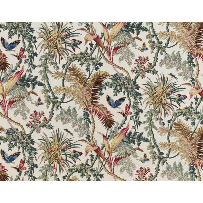 Braquenie - Papillons Exotique - B1753002 Fond Creme