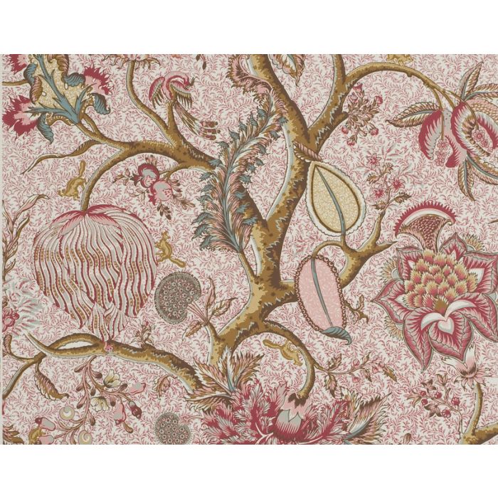 Braquenie - Le Grand Corail - BP204001 Antique Red