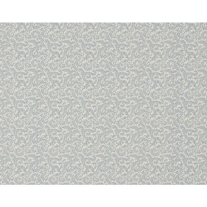 Braquenie - Vermicule - BP205003 Old Blue