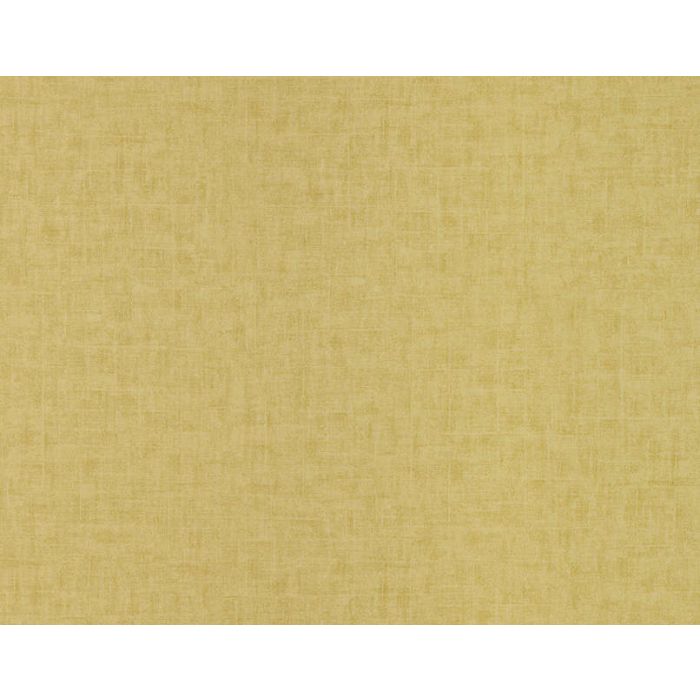 Braquenie - Tancrede - BP311001 Jaune