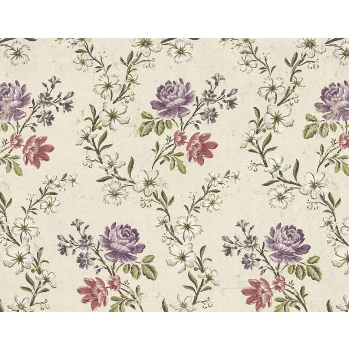 Braquenie - Anne-Marie Nacre - BP325001 Parme