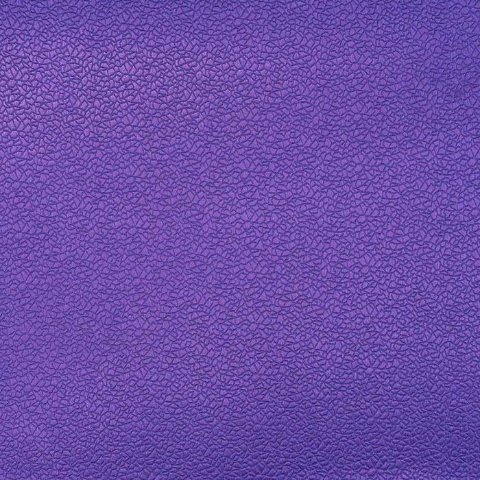 Camengo - Cedre - 31030241 Violet