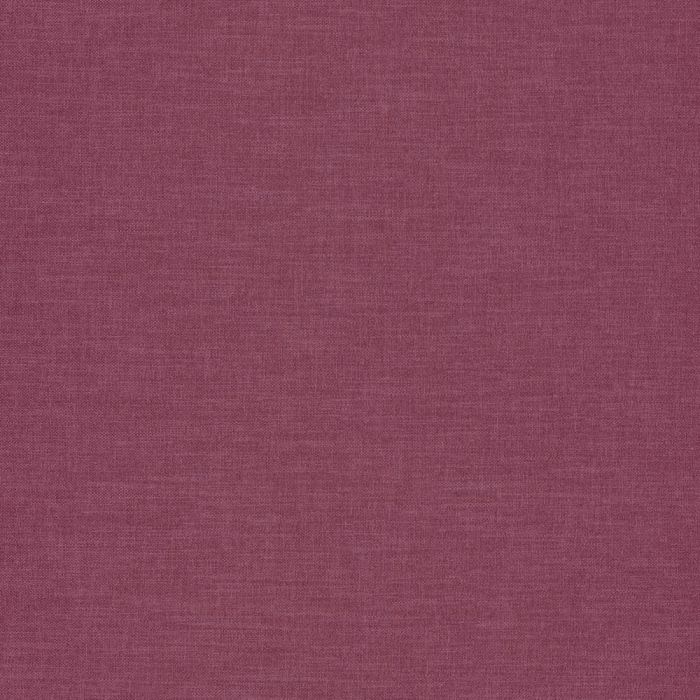 Camengo - Esprit 2 - A31473539 Orchis