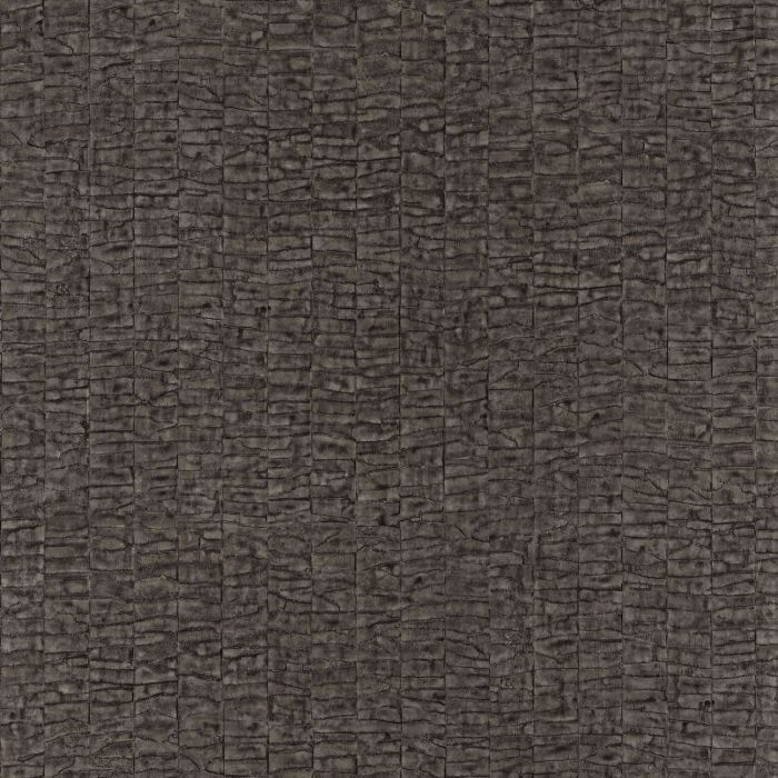 Casamance - Malanga - Caiman - 74070732 Carbone