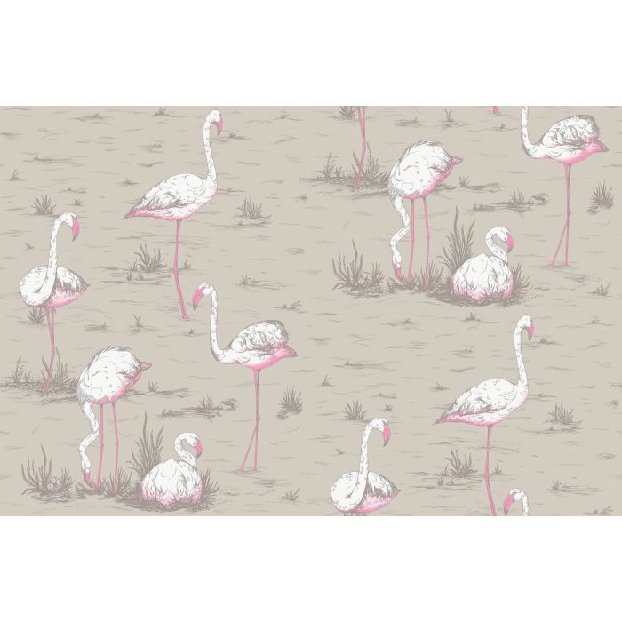 Cole & Son - Flamingos - F111/3011LU
