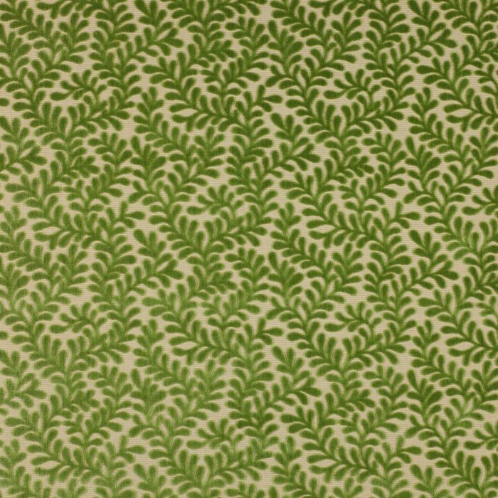 Colefax and Fowler - Brooke - Leaf Green - F3909/03
