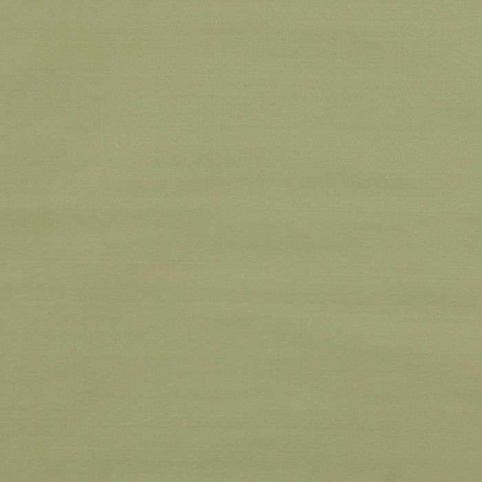 Colefax and Fowler - Padova - Pale Green - F4137/06