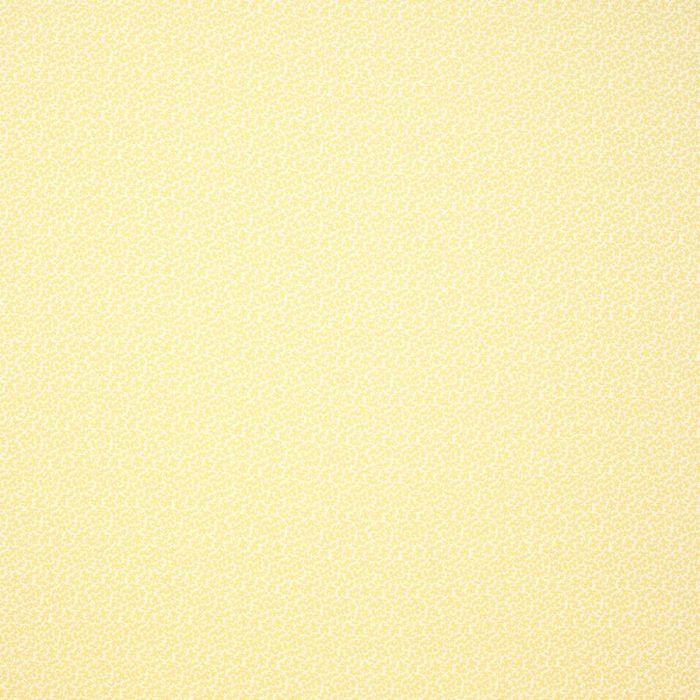 Colefax and Fowler - Seaweed - Yellow - F4608/01