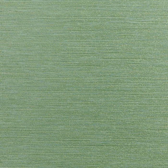 Dedar - Rafia D14006.009