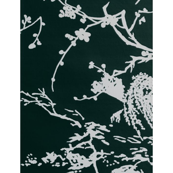 Dedar - À Contre-Jour - D20801-009 Sambuco