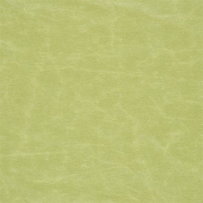 Designers Guild - Arizona - Moss - F1935-24