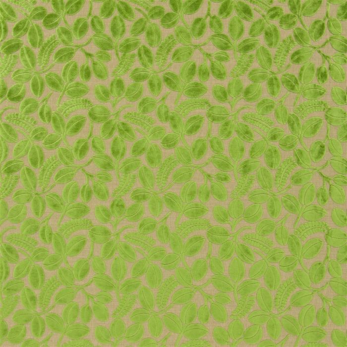 Designers Guild - Calaggio - Grass - F2105-02
