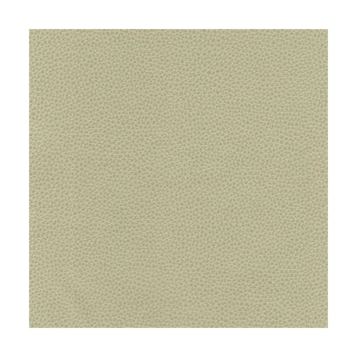 Osborne & Little - Sellier F6080-08