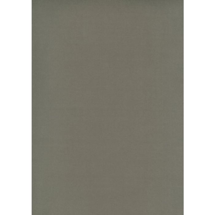 Osborne & Little - Tarva Moleskin F6421-14