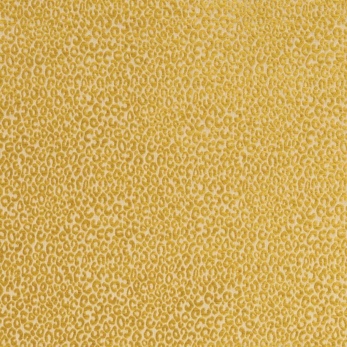 Matthew Williamson - Eden - Cheetah - F6532-06