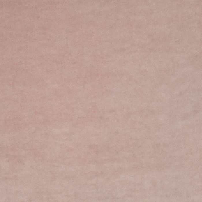 JAB Anstoetz - Champion 1-3114-062