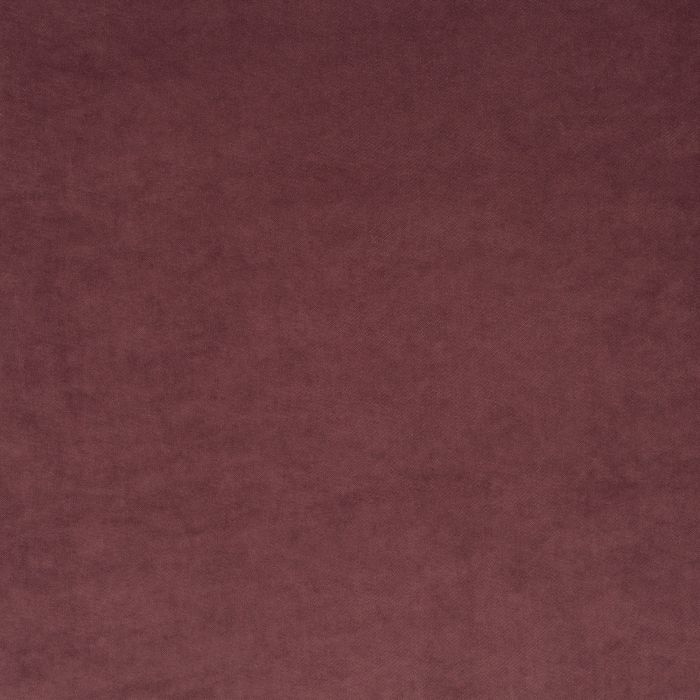 JAB Anstoetz - Champion 1-3114-080