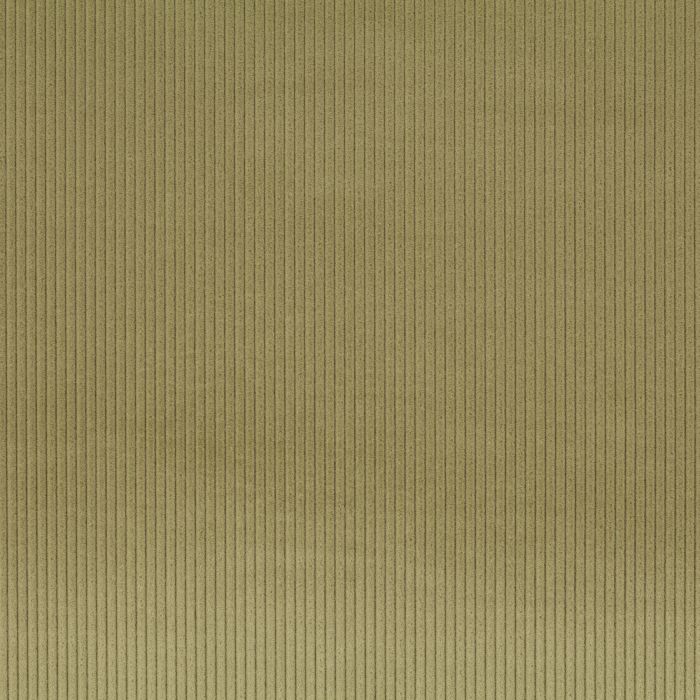 JAB Anstoetz - Cord 1-3126-033